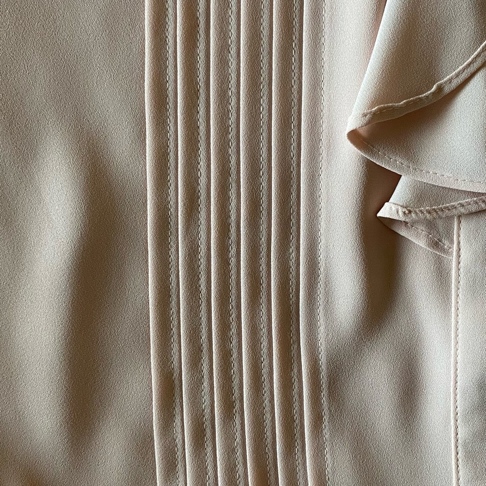 NWOT Sheer Ruffled Blouse - Picture 8 of 12